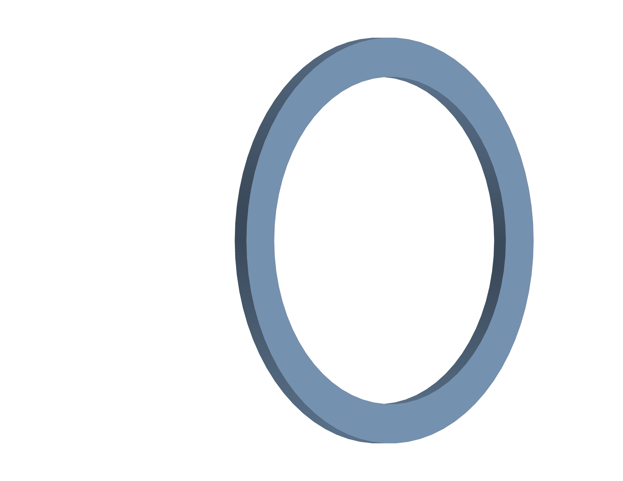 BACKUP RING (1)
