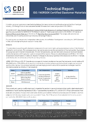 Norsok M-710  ISO 23936-2 Elastomers