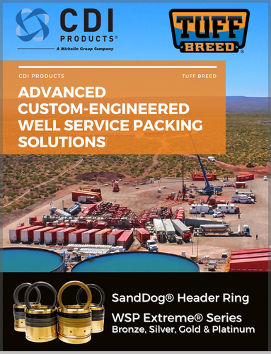 well-service-packing-brochure (1)